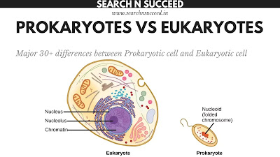 Prokaryotic Cell VS Eukaryotic Cell: Major 30+ differences between Prokaryotic cell and Eukaryotic cell