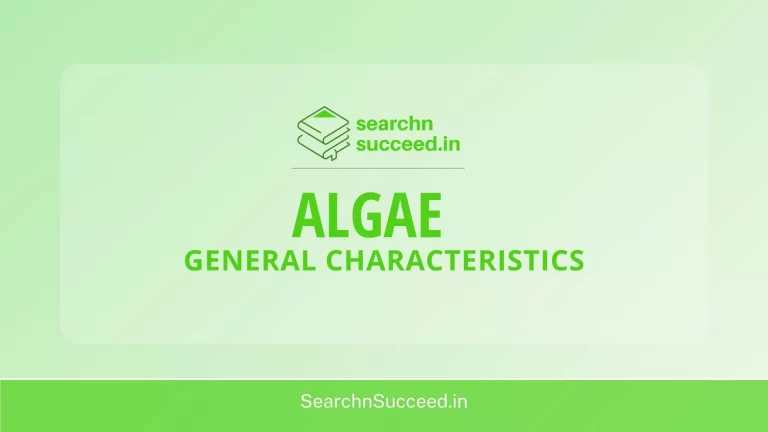20+ General Characteristics of Algae
