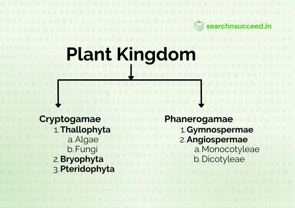 Plant Kingdom Classification