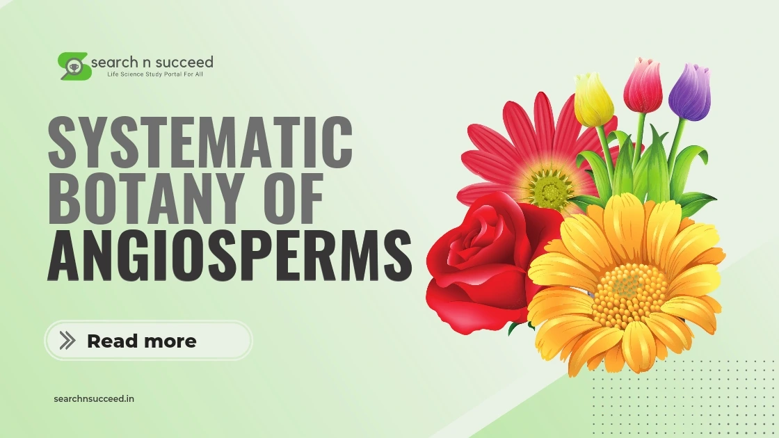 Systematic Botany of Angiosperms
